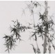 Ink Bamboo - CNAG005875