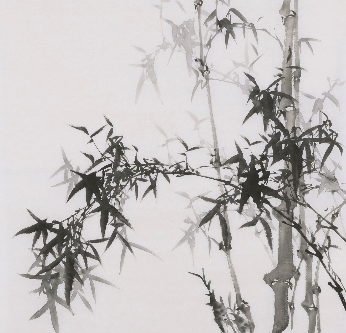 Ink Bamboo - CNAG005875
