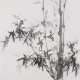 Ink Bamboo - CNAG005876