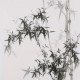 Ink Bamboo - CNAG005878