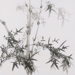 Ink Bamboo - CNAG005879