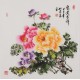 Peony - CNAG005881