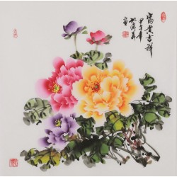 Peony - CNAG005881