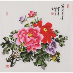 Peony - CNAG005882