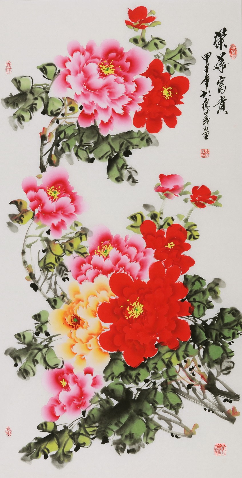 Peony - CNAG000589