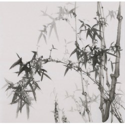 Ink Bamboo - CNAG005886