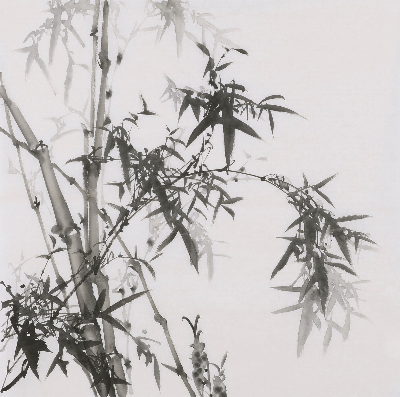 Ink Bamboo - CNAG005887