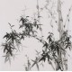 Ink Bamboo - CNAG005888