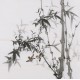 Ink Bamboo - CNAG005890