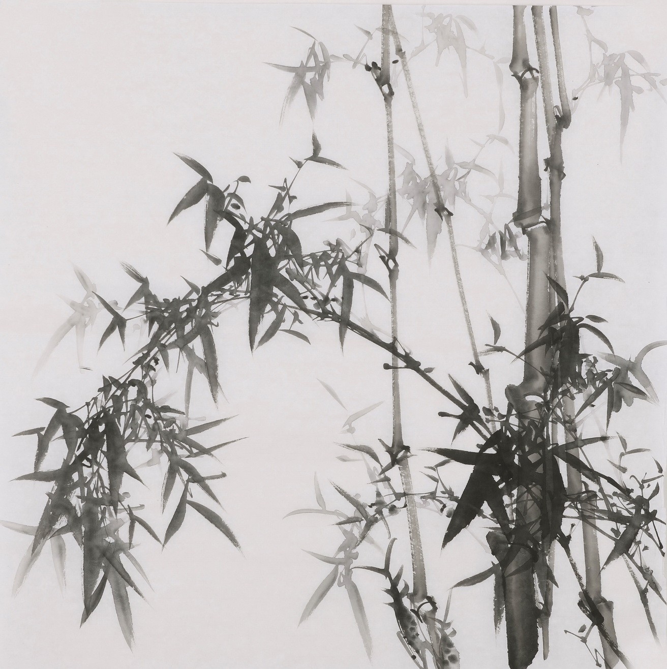 Ink Bamboo - CNAG005891