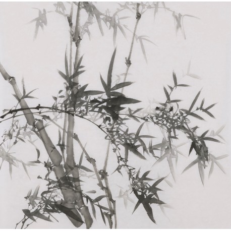 Ink Bamboo - CNAG005892