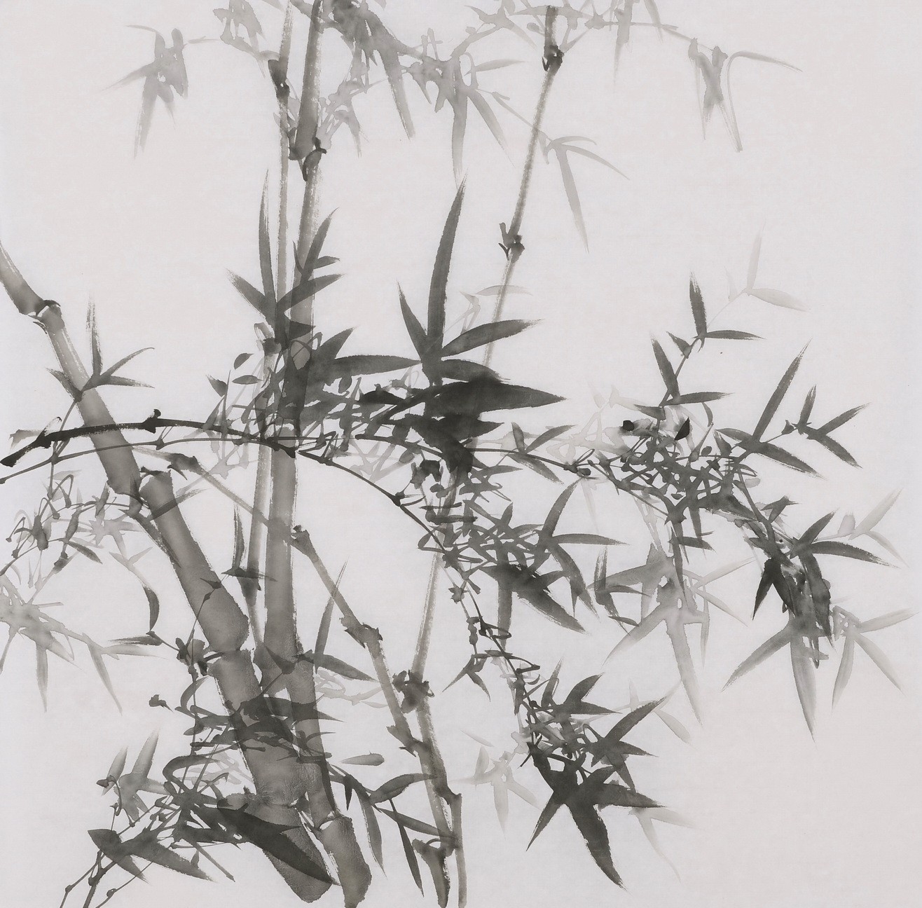 Ink Bamboo - CNAG005892