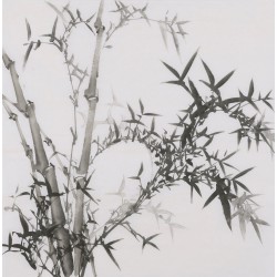 Ink Bamboo - CNAG005893