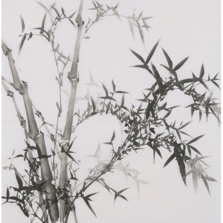 Ink Bamboo - CNAG005893