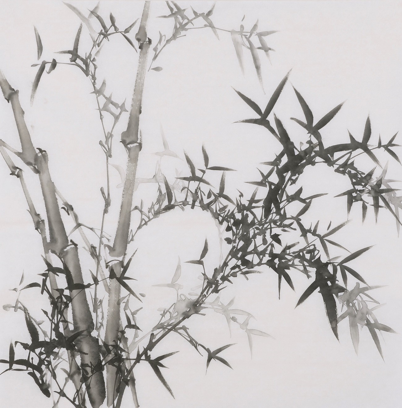 Ink Bamboo - CNAG005893