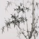 Ink Bamboo - CNAG005894