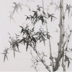 Ink Bamboo - CNAG005894