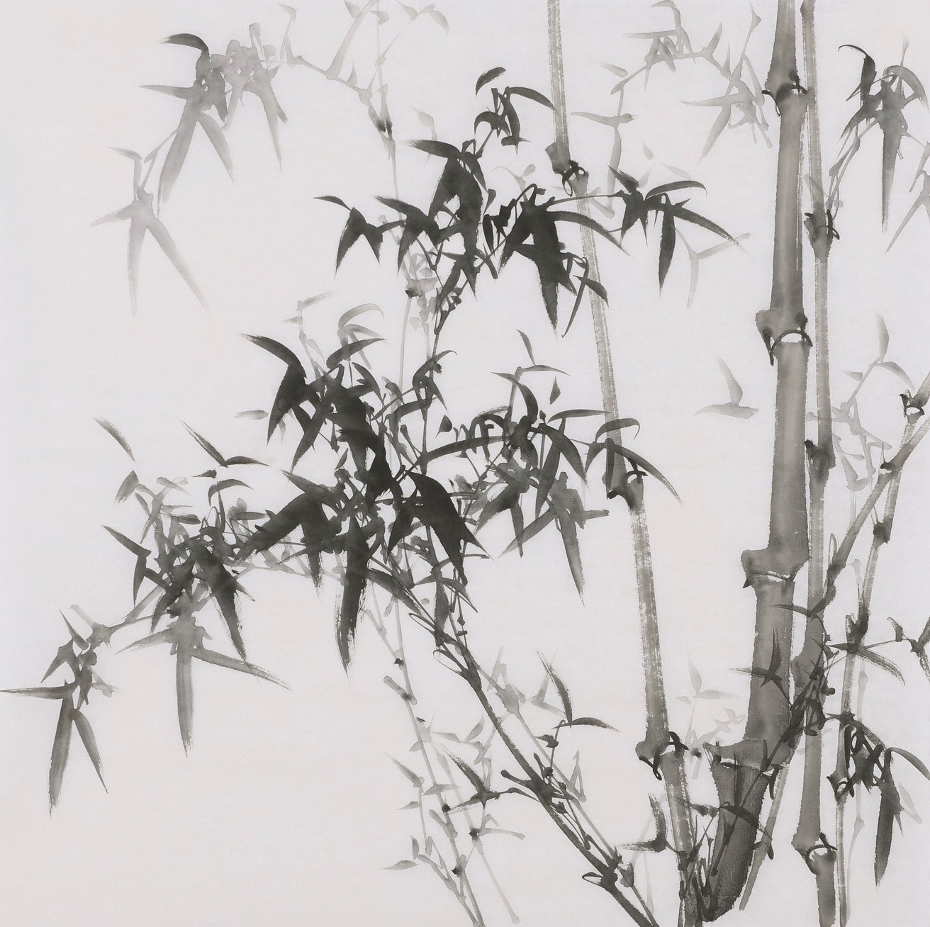Ink Bamboo - CNAG005894