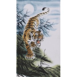 Tiger - CNAG000059