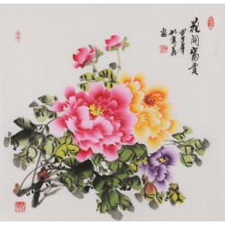 Peony - CNAG005898