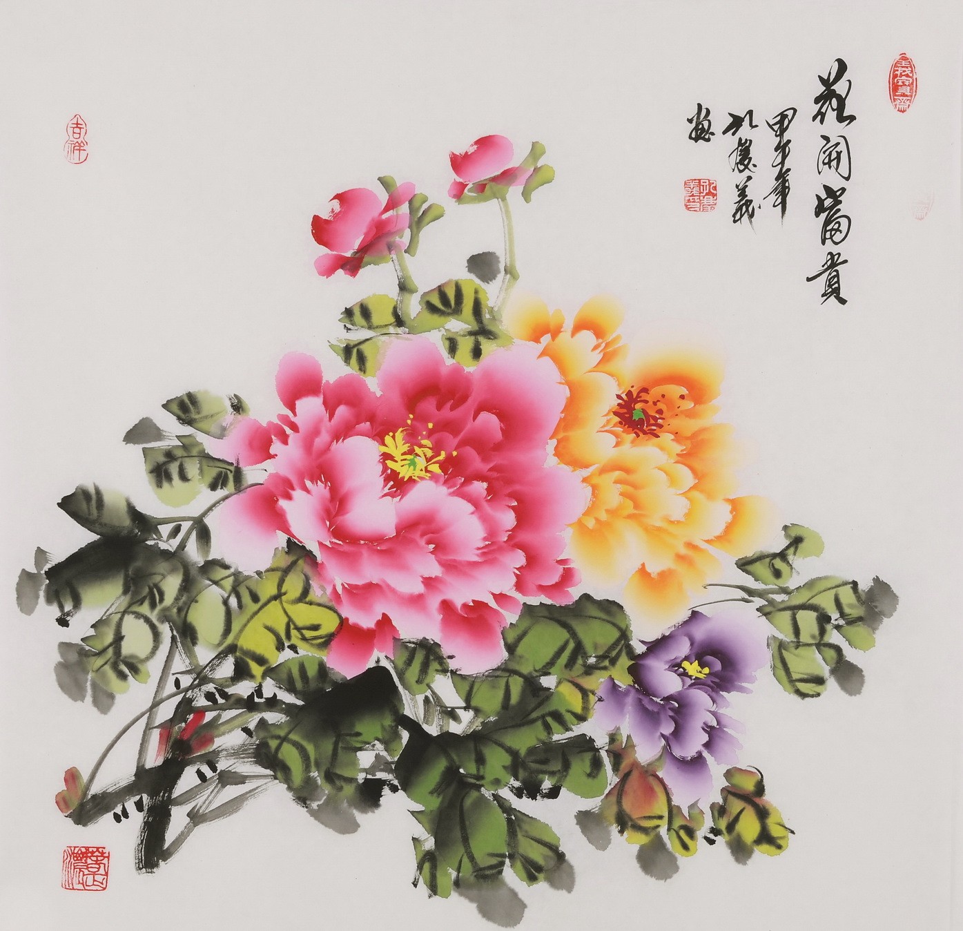 Peony - CNAG005898