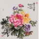 Peony - CNAG005899