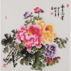 Peony - CNAG005899