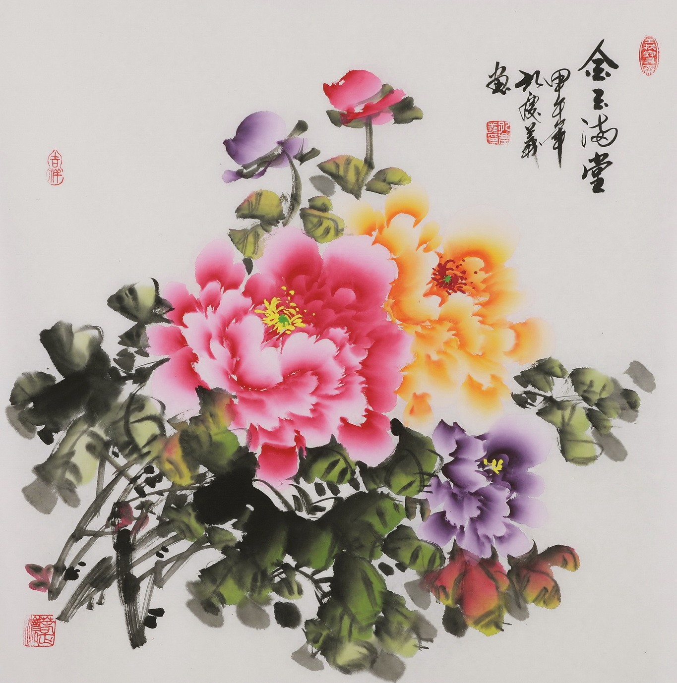 Peony - CNAG005899