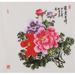 Peony - CNAG005900