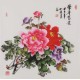 Peony - CNAG005902