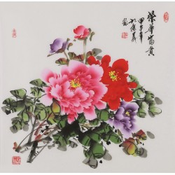 Peony - CNAG005902