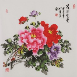 Peony - CNAG005904