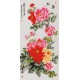 Peony - CNAG000591
