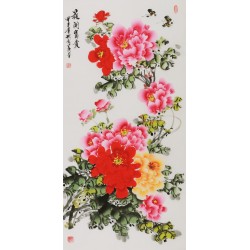 Peony - CNAG000591
