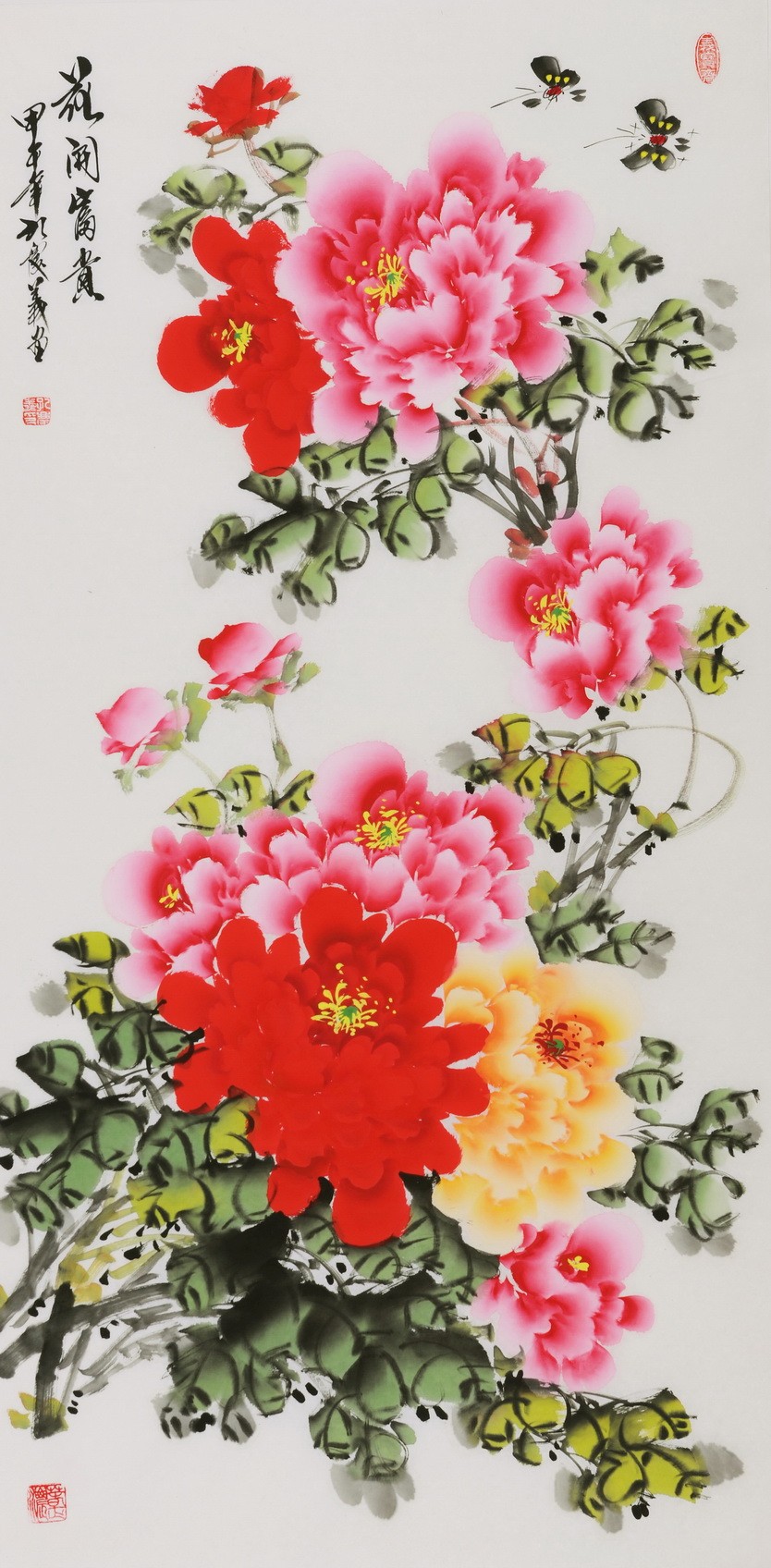 Peony - CNAG000591