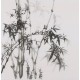 Ink Bamboo - CNAG005908