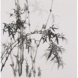 Ink Bamboo - CNAG005908