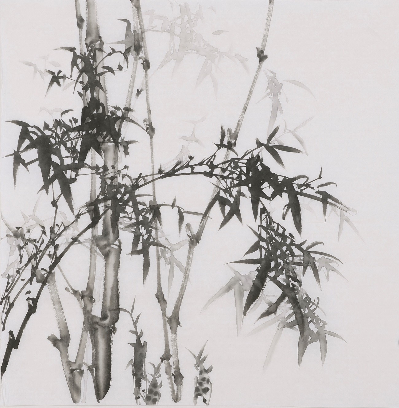 Ink Bamboo - CNAG005908