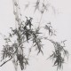 Ink Bamboo - CNAG005909