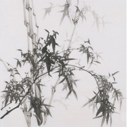 Ink Bamboo - CNAG005909
