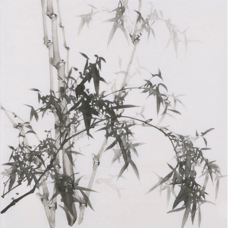 Ink Bamboo - CNAG005909