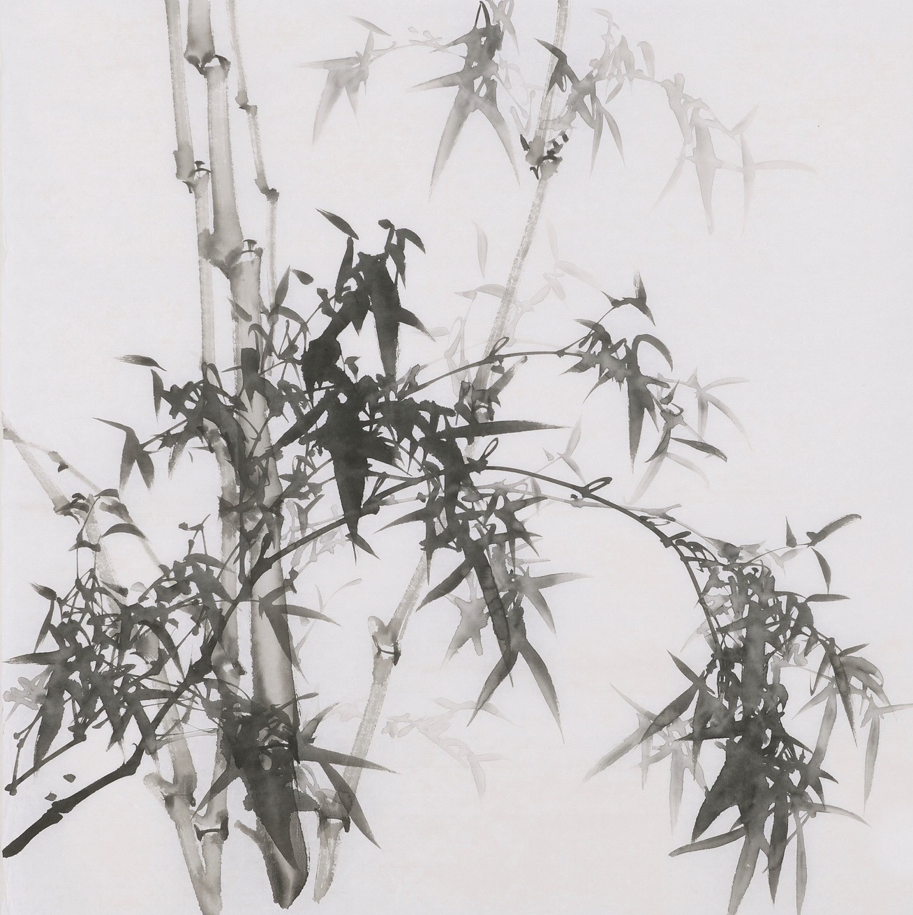 Ink Bamboo - CNAG005909