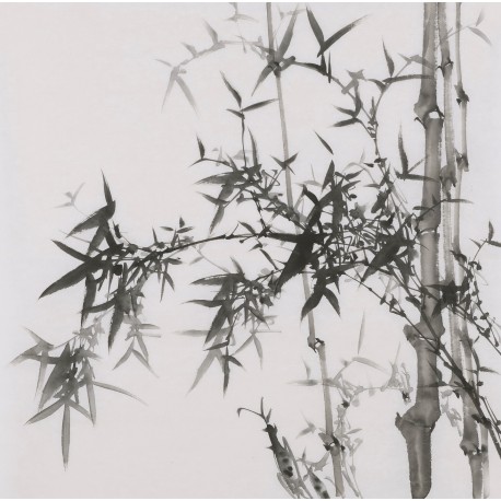 Ink Bamboo - CNAG005911