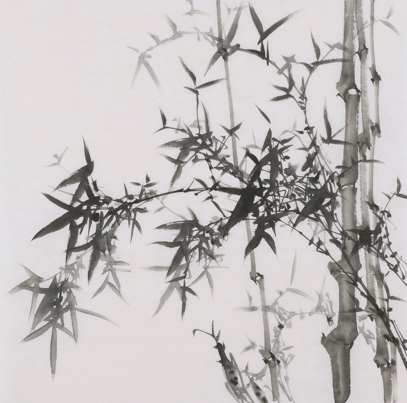 Ink Bamboo - CNAG005911