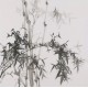 Ink Bamboo - CNAG005913
