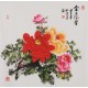 Peony - CNAG005918