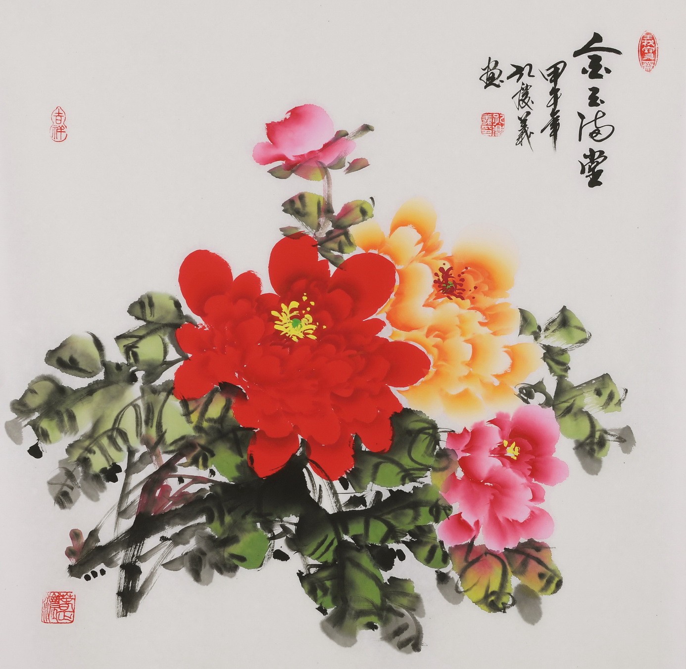 Peony - CNAG005918