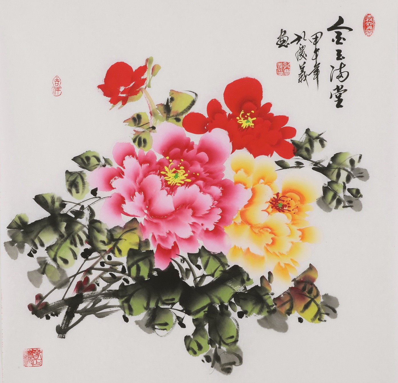 Peony - CNAG005919
