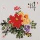 Peony - CNAG005920