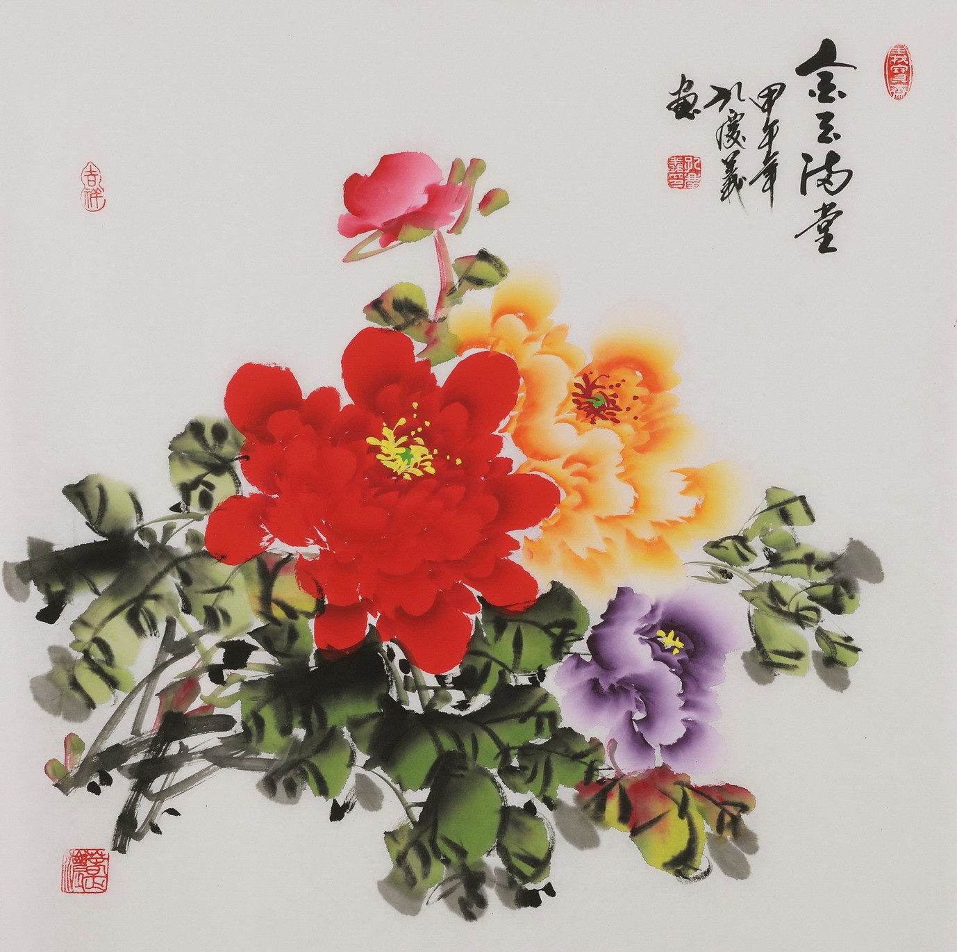 Peony - CNAG005920